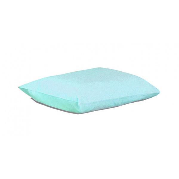Hospital Pillow & Case